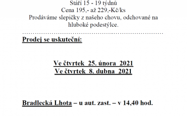Prodej slepiček
