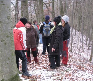 Vánoční výstup na Bradlec 26.12. 2014